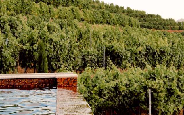 Casal dos Capelinhos - Quinta Nova