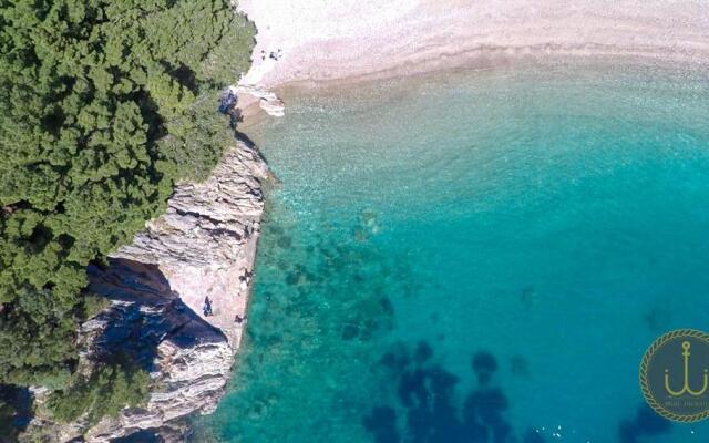 Ancora 3