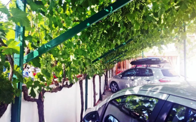 Apartments Eugen Pedisić