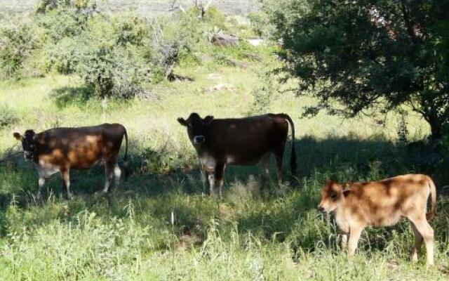 Eagle Rock  Guest Farm