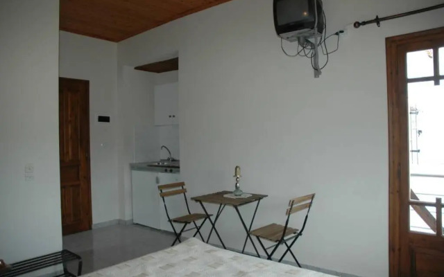 Elenis Olive green Studio