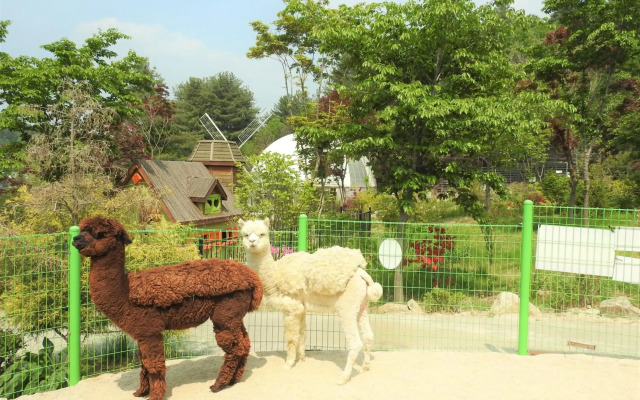 Kensington Resort Gapyeong