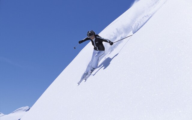 Chalet Hôtel Les Blancs