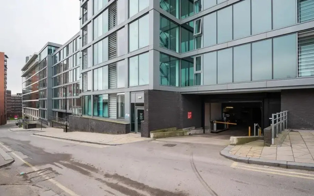 Sunny and Spacious 1BR Apartment