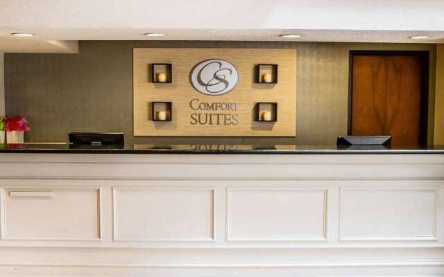 Comfort Suites McAlester