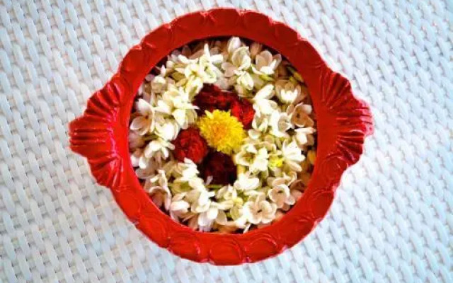Holi-Wood Guesthouse