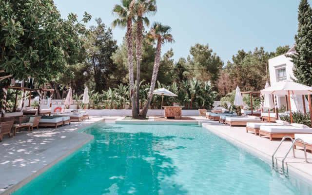 Hotel Boutique & Spa Las Mimosas Ibiza