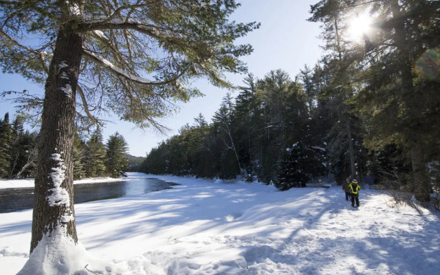 The Canadian Ecology Centre