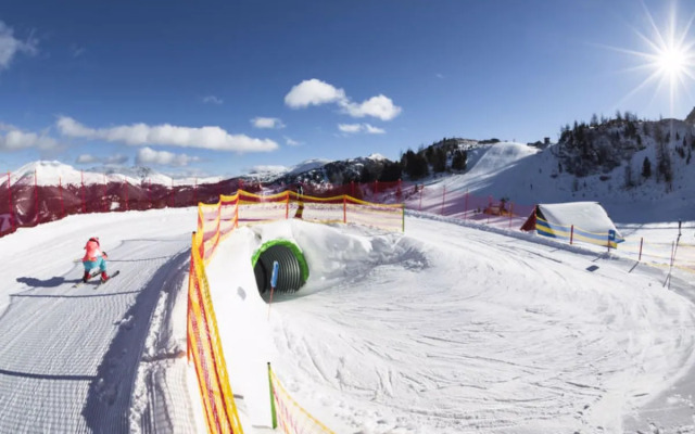 ATH036 Zirbenwald II_10 P