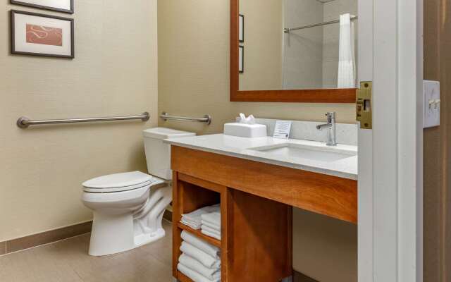 Comfort Suites Dover University Area