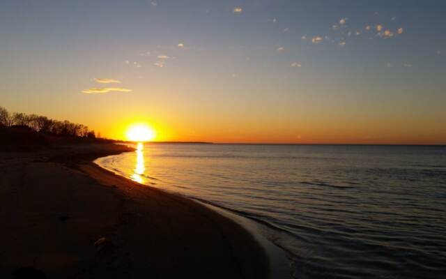 Bee 'n Bee Bed n' Breakfast