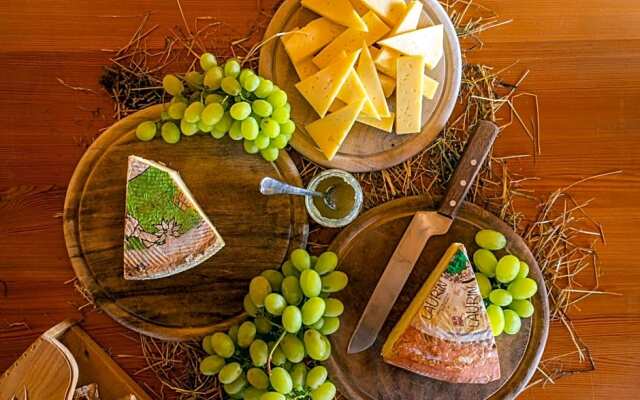 Ütia de Börz Mountain Lodge