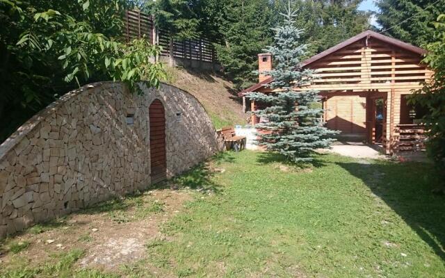 Cabana Viking Colibița