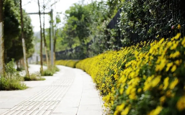 Lavender Garden, Howard Johnson International Hotel Kunming Flower City