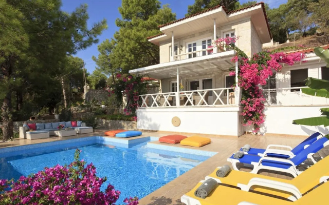 Villa Manzana in S t
