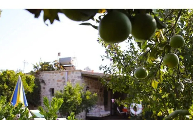 Villa Limon