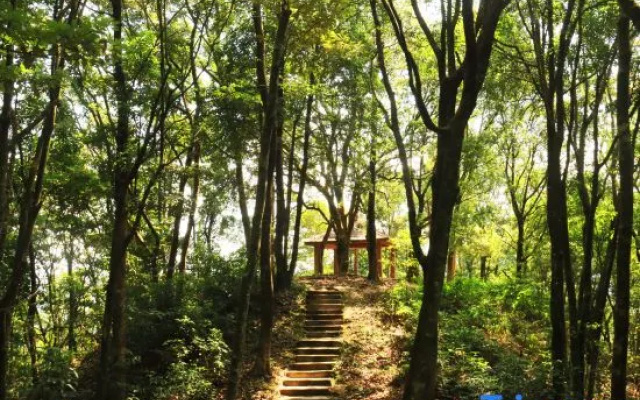 Xinfeng Utop Spring Primeval Forest Resorts