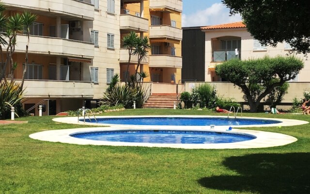 Sol Millet