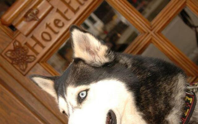 Wellness-Hotel Elisabeth