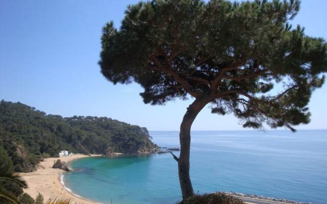 107523 - House in Cala Canyelles