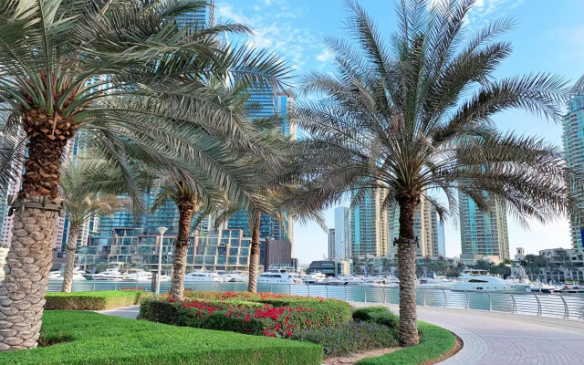 Jewellery Homes in Continental tower Dubai Marina