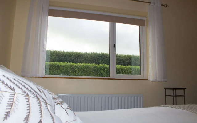Madra Rua Organic Accommodation
