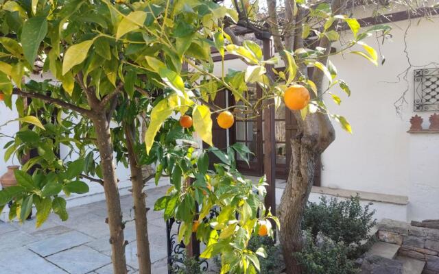 Lito's dream villa by the sea!