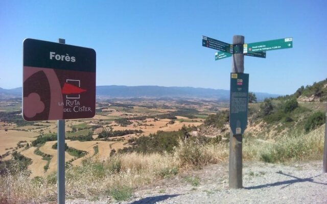 Rural Horizons on La Ruta del Cister