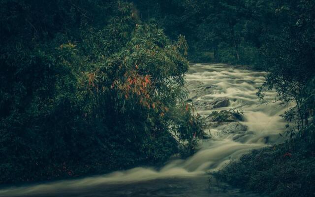 Ela Ecoland Munnar - A Nature Retreat