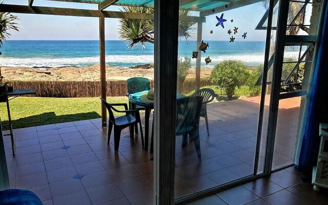 Southern Comfort - Starfish