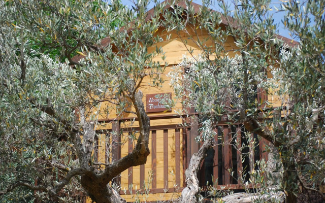 Palazzo Conforti Tree House Resort