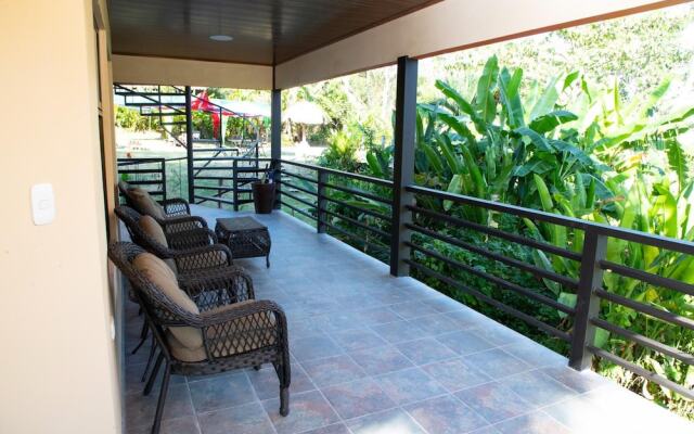 Jungle Lodge at Wild Sun Rescue