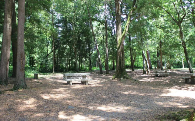 Apartamento Spellos