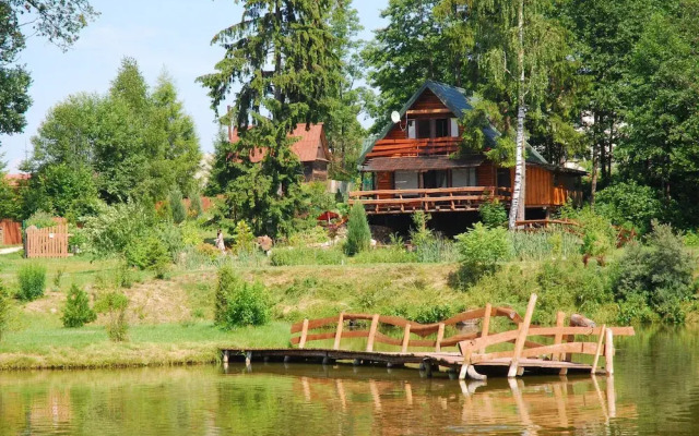 Rustic Riverside Cabin in Forest