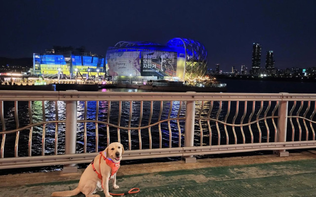 Newly renovated spacious 2 bedroom unit in HBC