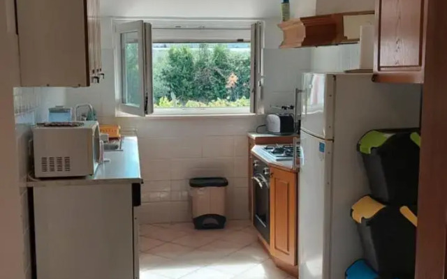 Apartma Viva