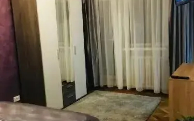 Alecsandra S Apartment Ultracentral