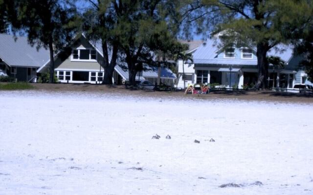 The Anna Maria Island Beach Castaway 1