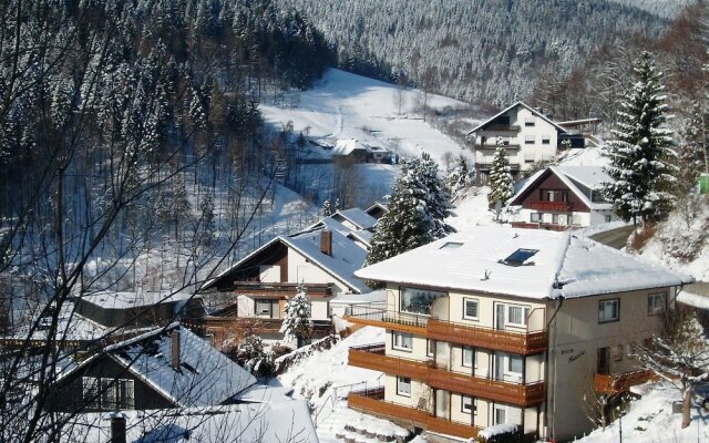 Modern Apartment in Bad Rippoldsau Near Town Center