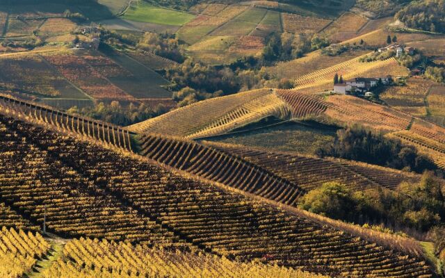 Beautiful Apartment in Monforte D'alba With 1 Bedrooms