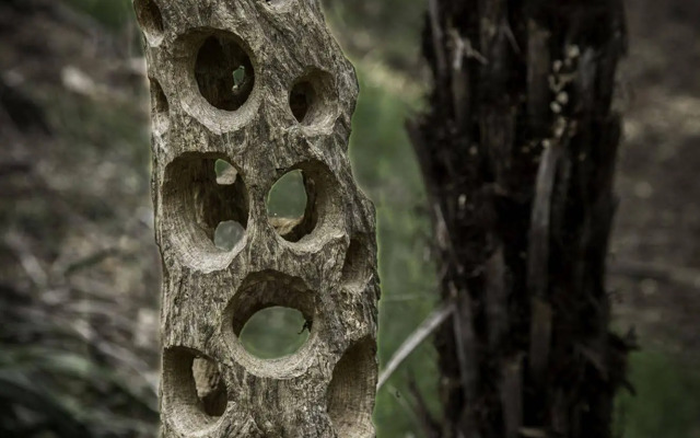 Wharepuke Subtropical Accommodation