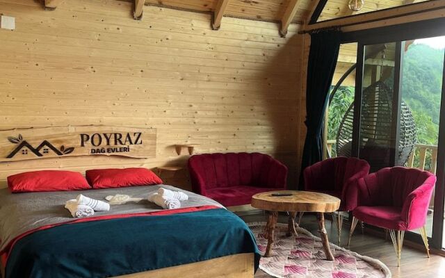 Poyraz Dağ Evleri