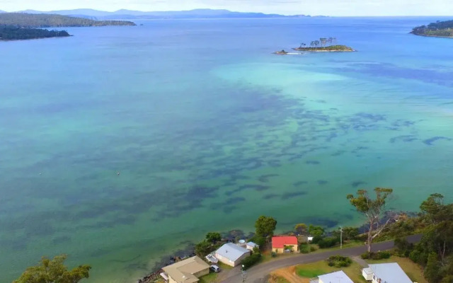 Essentially Tas - Southport