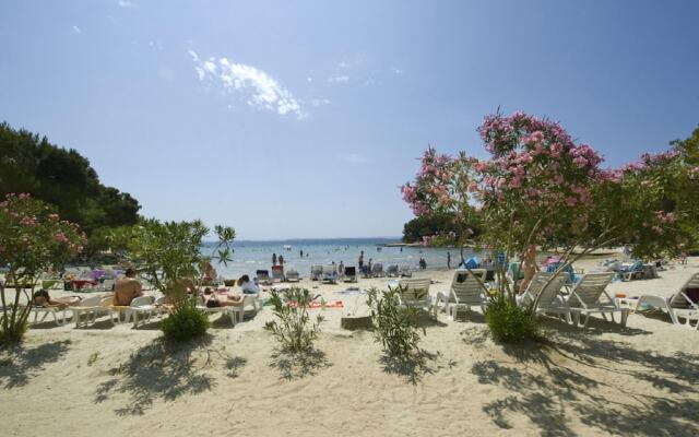 Apartment in Dalmatia With Terrace