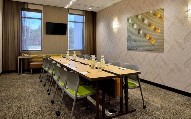 SpringHill Suites Charlotte at Carowinds