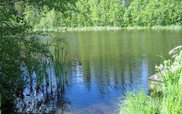 Pehtoorin-pirtti countryhome