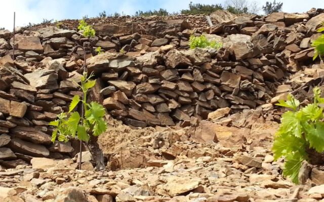 Le Clos Saint André