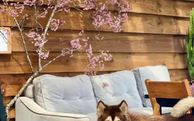 Scent House - Village