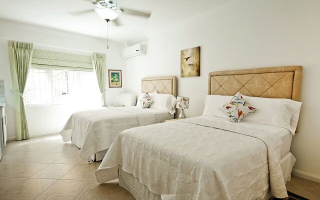 Cattleya's Green Suite Exquisite