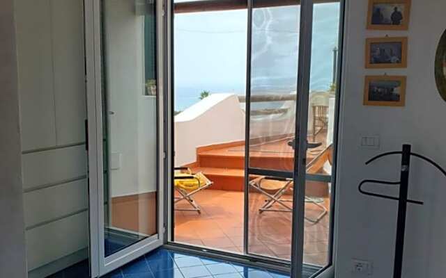 Agata Suite